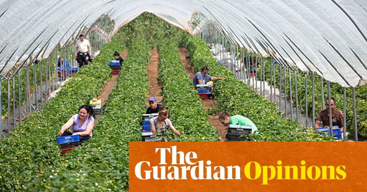 Anyone Who S Been Laid Off Can Pick Fruit Right It S Not That Simple Coronavirus The Guardian