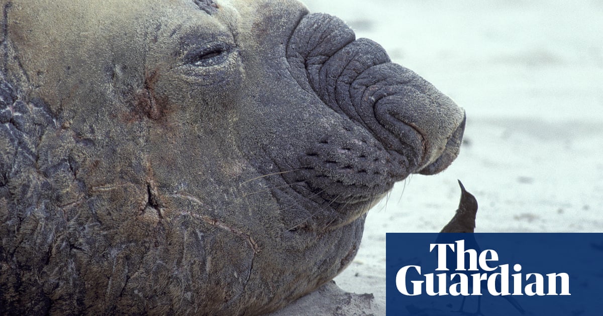 Учените предупреждават че по нататъшното разпространение може да застраши крехката екосистема