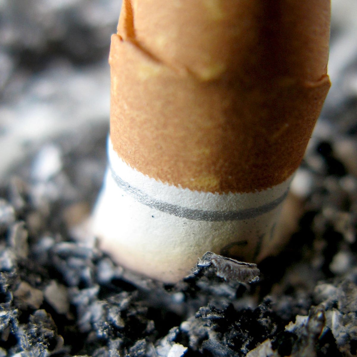 effects of smoking 20 cigarettes a day Smoking over 20 cigarettes a day can cause blindness effects of smoking 20 cigarettes a day Smoking over 20 cigarettes a day can cause blindness