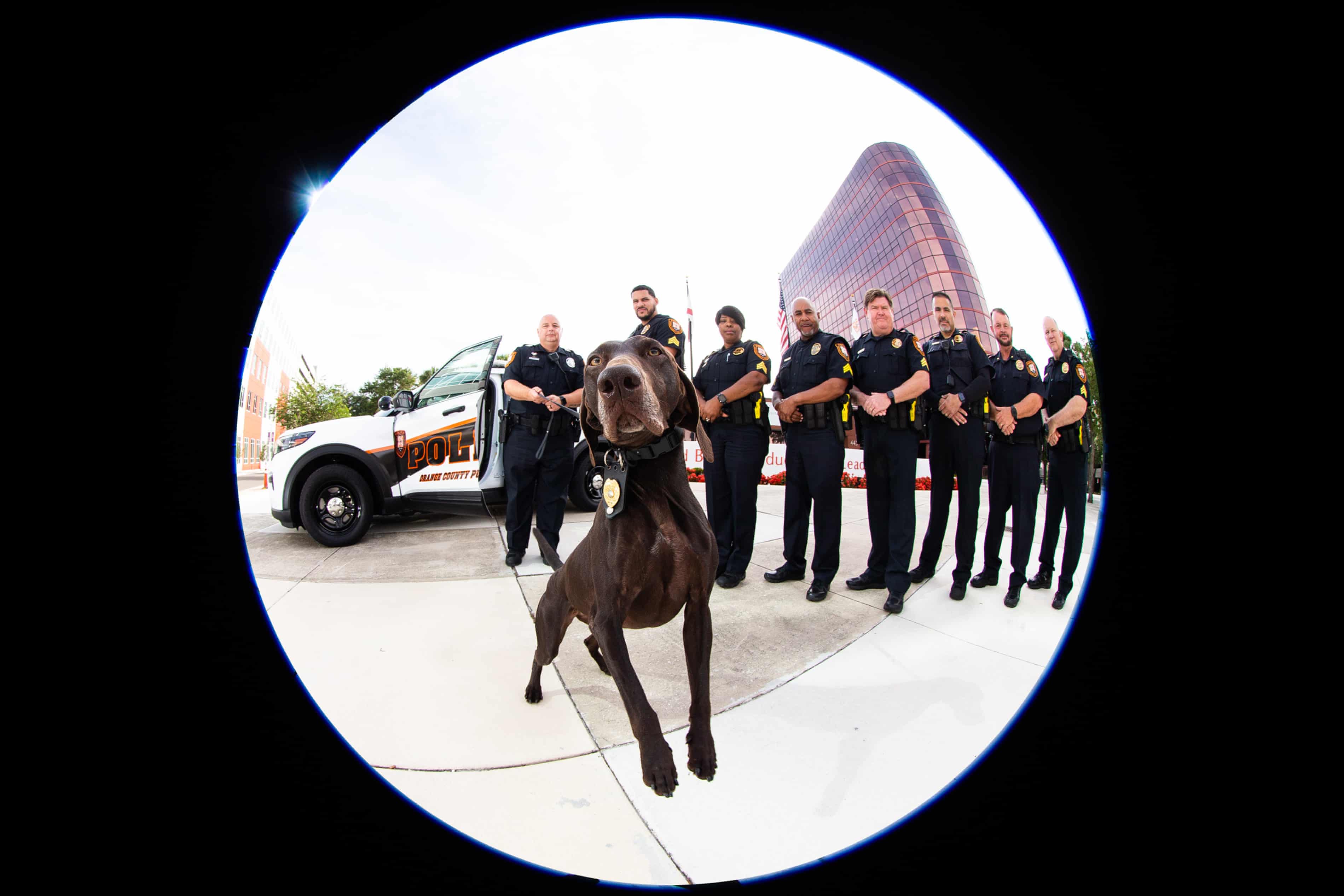 Police pooches: US schools employ gun-sniffing dogs to curb violence – and bring students joy (theguardian.com)