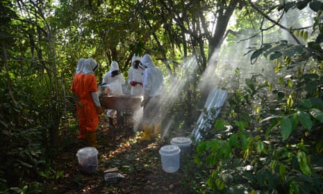 Beekeepers at work in Liberia, where there is a growing market for locally-produced honey