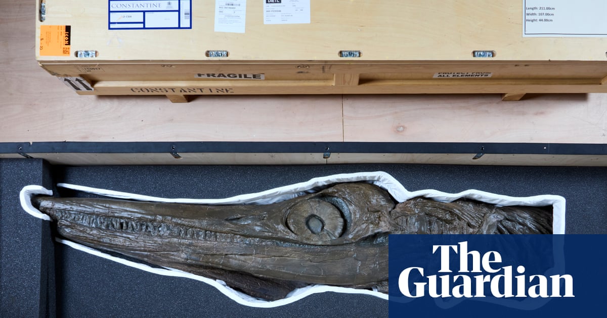 触手、尖牙和海洋霸王龙:自然历史博物馆展示曾经统治海洋的动物 触手、尖牙和海洋霸王龙:自然历史博物馆展示曾经统治海洋的动物