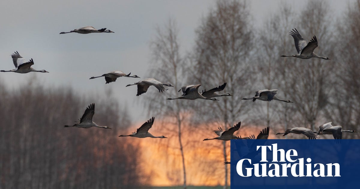 ‘A water world teeming with wildlife’: readers’ favourite national parks in Europe | Europe holidays