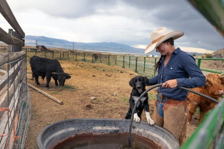 A woman fills up a pail with water as she pets her dog, while cows graze in the backyard