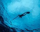 Spearfisher Encounters Unprecedented Shark Numbers