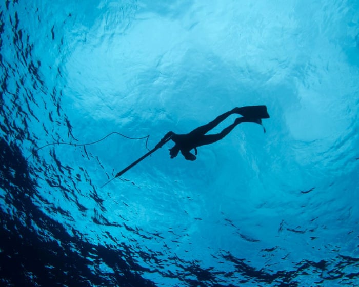 In my years of spearfishing, I’ve never encountered more sharks than now. But I know where I stand in the underwater…