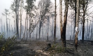 The McKinley Fire is a 4,000 acre blaze about 80 miles about 80 miles north of Anchorage, which started over the weekend and continues to blaze.