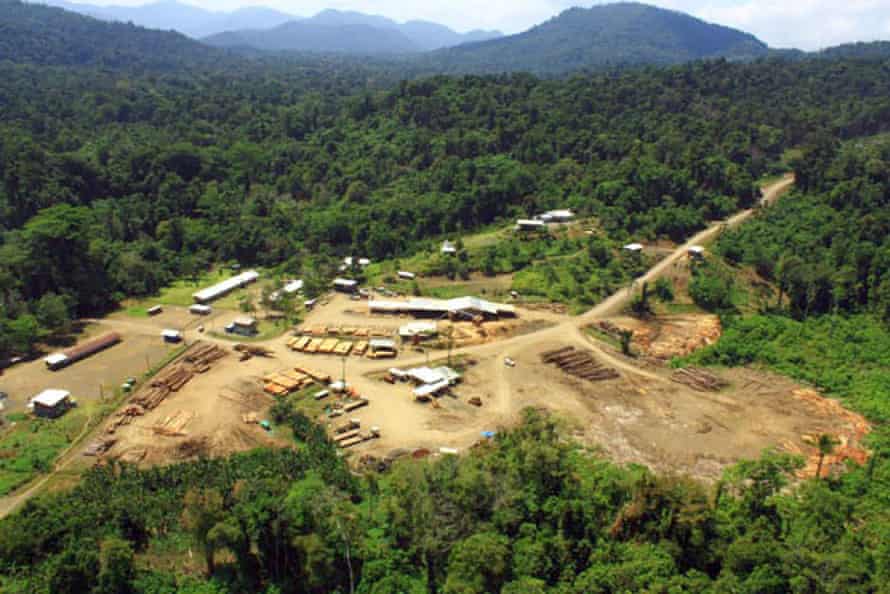 Cloudy Bay Sustainable Forestry.