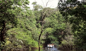 Tourists travel to the Amazon rainforest - but it is under threat from industries such as logging.