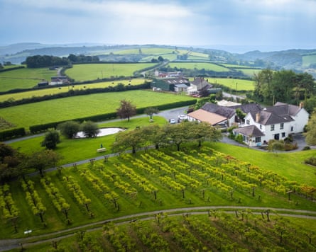 Jabajak Vineyard Restaurant with Rooms, Whitland, Wales