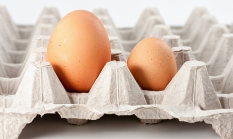 Eggs in carton, big and small