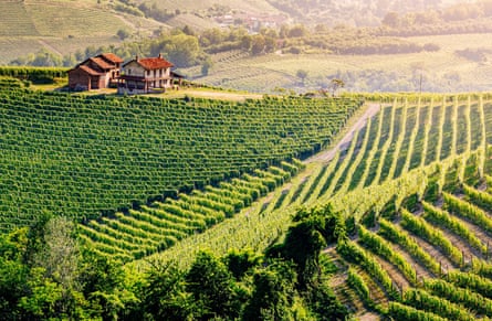 Farmhouse among vineyards in the Piedmont region