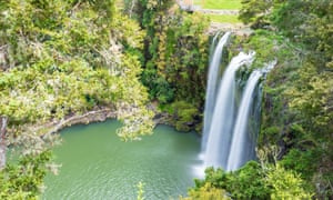 Scenic reserve surrounding the famous Whangerei waterfall