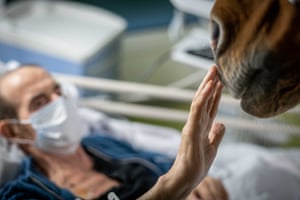 Peyo licks the hands of a patient, Roger, 64, at Calais Hospital