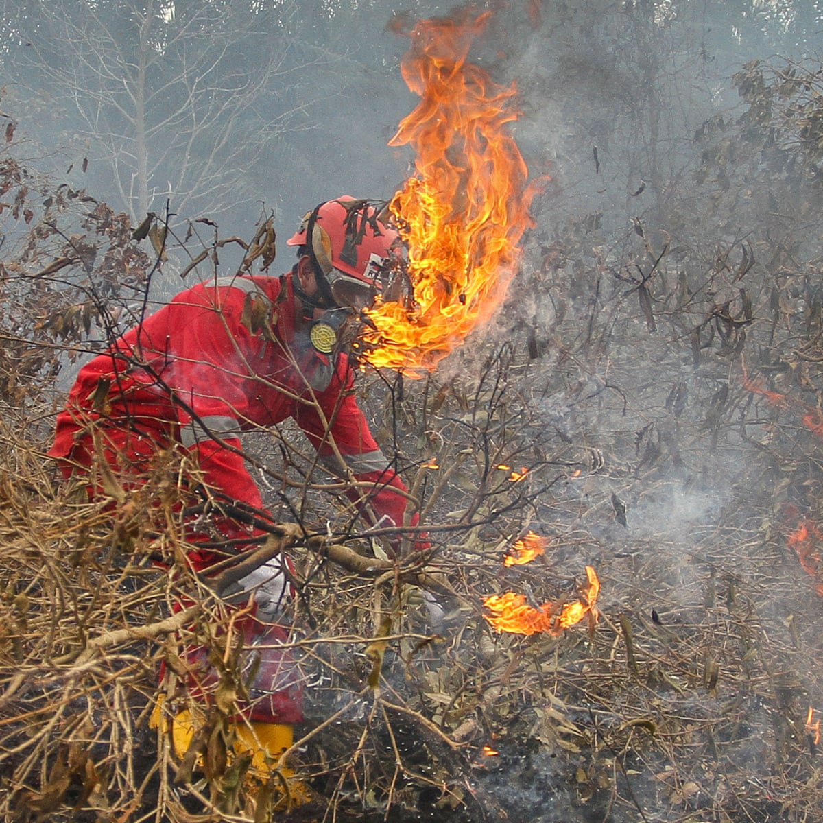 Indonesian Forest Fires Putting 10 Million Children At Risk