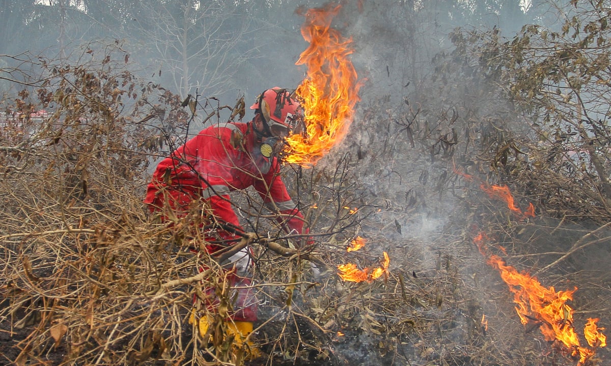 Indonesian Forest Fires Putting 10 Million Children At Risk