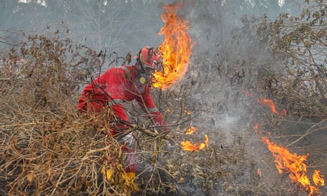Fire fighters try to extinguish fire at a peatland in Kampar, Riau province, Indonesia.