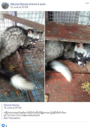 Taken by WWF, a screenshot of a Facebook page selling wildlife is seen in Myanmar. Facebook has removed hundreds of posts associated with the sale of illegal wildlife in Southeast Asia in recent weeks. However, campaigners warn of a surge online, as demand for wildlife products appears unaffected by the spread of zoonotic diseases such as coronavirus