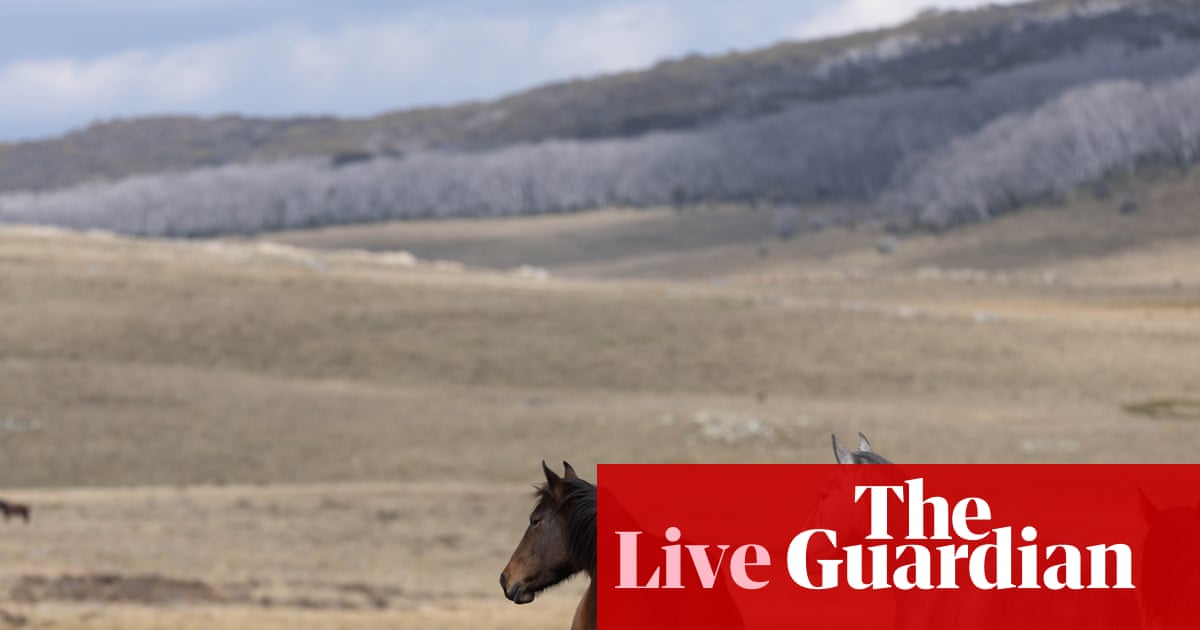 Australia news live: NSW axes heritage protection for brumbies; PM hails ‘yes-olition’ as environment laws pass parliament