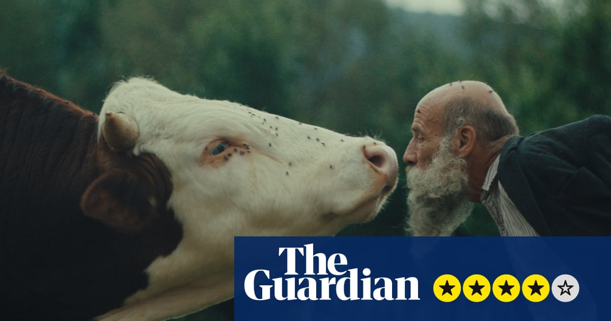 Ανασκόπηση Better Go Mad in the Wild – οι ερημίτες που πλημμυρίζουν και γελοιοποιούν μεταδίδουν την πνευματική τους σοφία