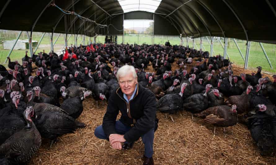 Robert Wynn, Lord Newborough, with the organic turkeys he rears on the Rhug estate in Denbeighshire, north Wales.