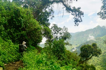 A person with a backpack on a mountain trail with tropical greenery around him