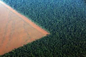 This aerial shot shows Amazon rain forest, bordered by deforested land prepared for planting soybeans in Mato Grosso, western Brazil