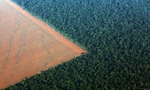 The Amazon rain forest bordered by deforested land.