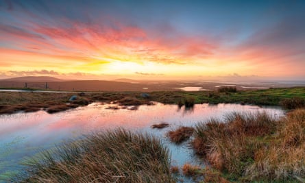 Peatlands landscape at sunrise
