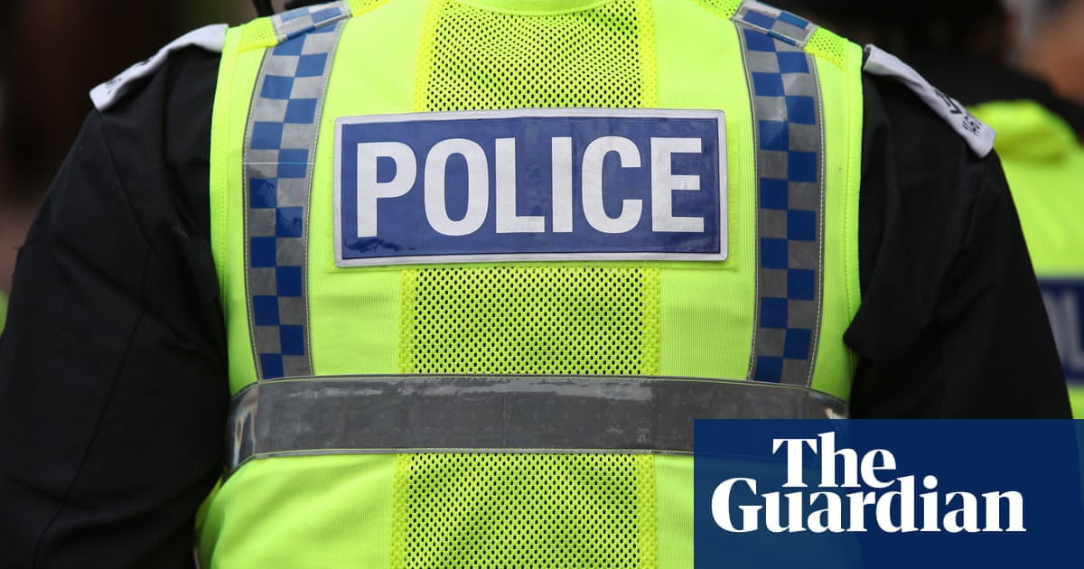 Racism cited as factor in police strip search of girl, 15, at London school