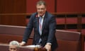 One Nation’s Rodney Culleton in the Senate last week.