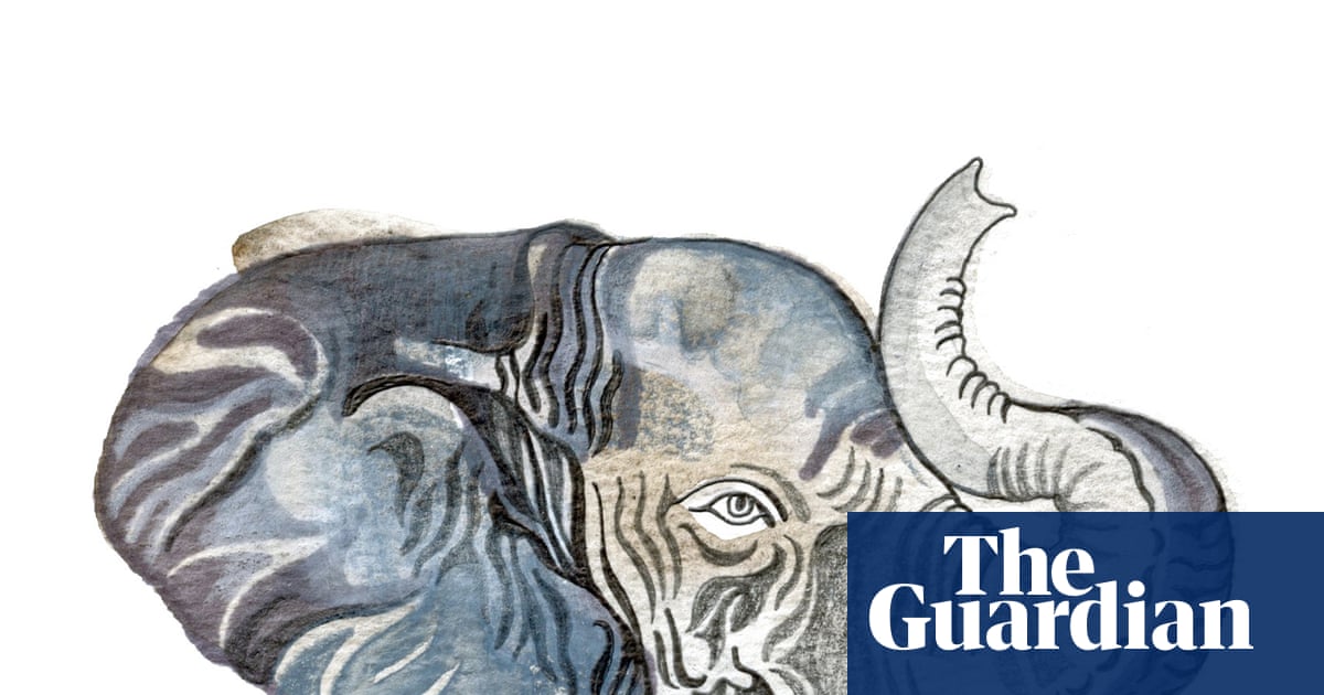 How big is an elephant’s brain and why are cacti spiky? The kids’ quiz