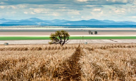 Liverpool Plains in NSW. The Gomeroi traditional owners have lost their federal court bid to protect sacred sites from Shenhua Watermark open-cut coalmine.