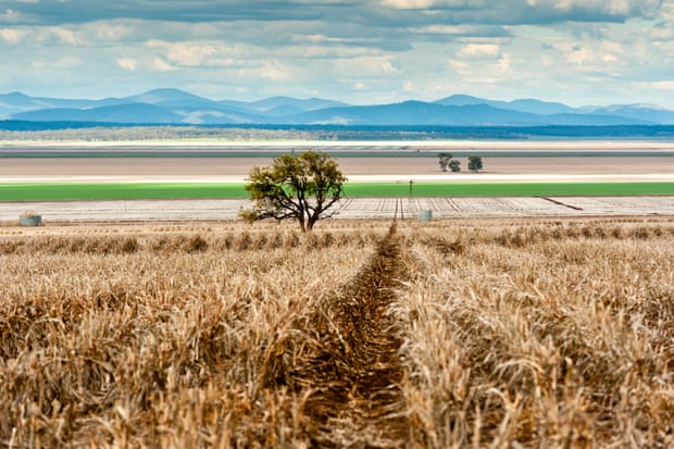 Liverpool Plains in north-west New South Wales.