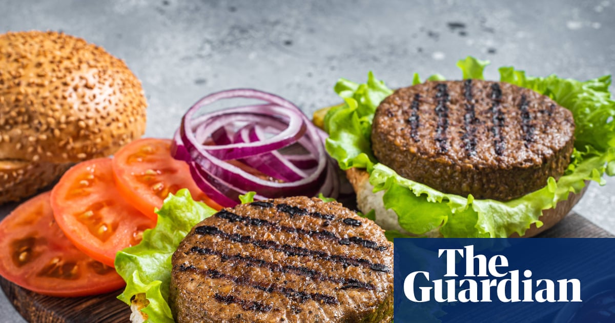 Ban on veggie burgers': plant-based products may lose meaty names in UK under EU law