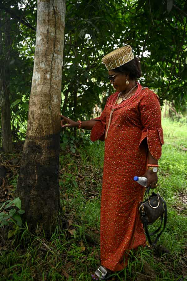Chief Patricia Ogbonnaya passes a tree stained with oil residue from a pipeline spill.