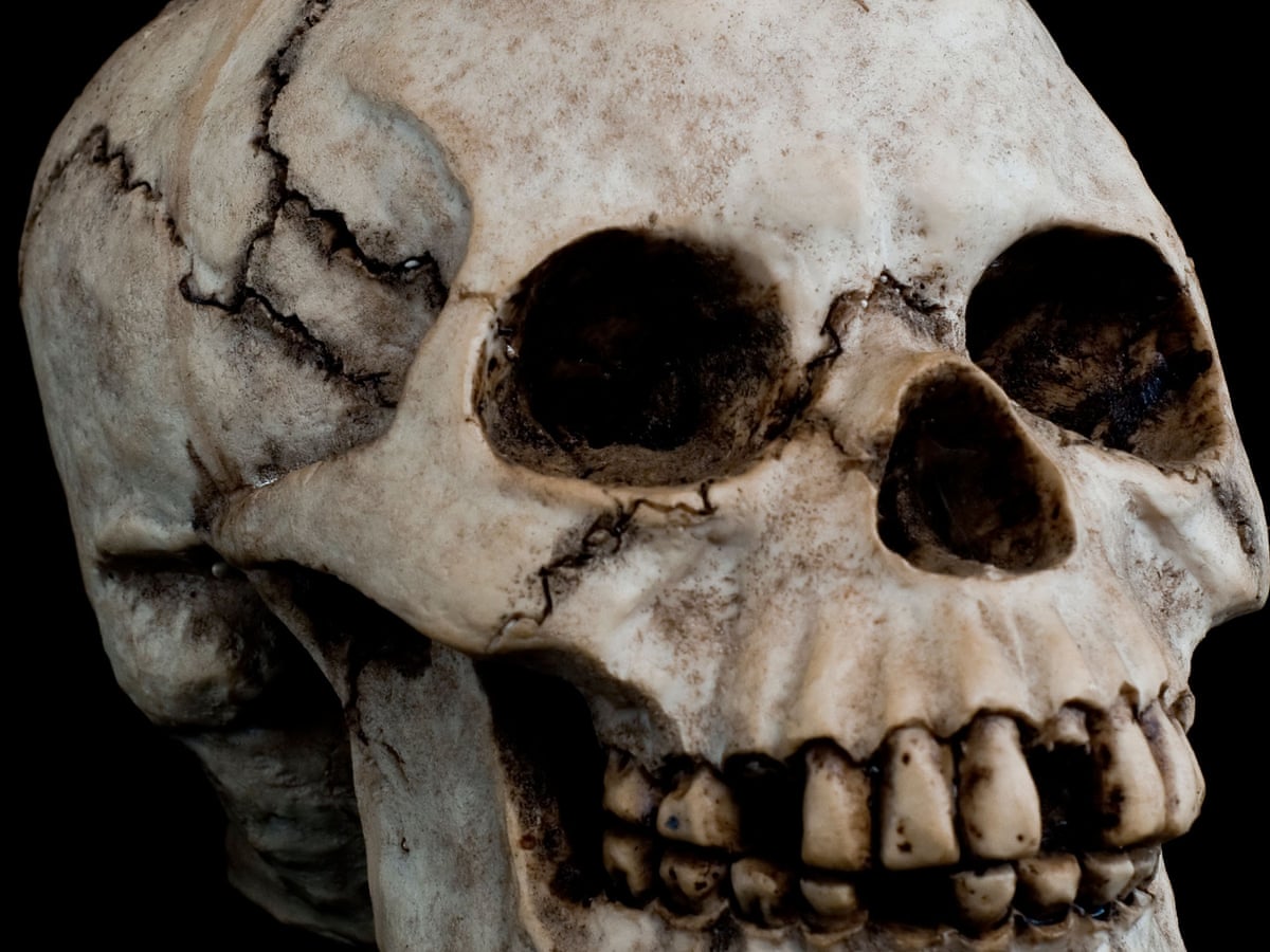 Germany To Investigate 1 000 Skulls Taken From African Colonies For Racial Research Germany The Guardian Germany To Investigate 1 000 Skulls Taken From African Colonies For Racial Research Germany The Guardian