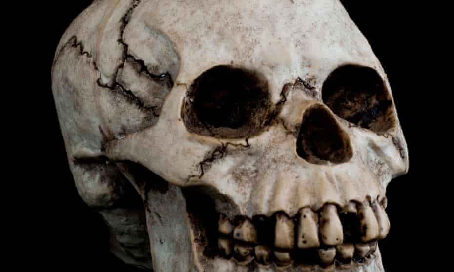 Germany To Investigate 1 000 Skulls Taken From African Colonies For Racial Research Germany The Guardian Germany To Investigate 1 000 Skulls Taken From African Colonies For Racial Research Germany The Guardian