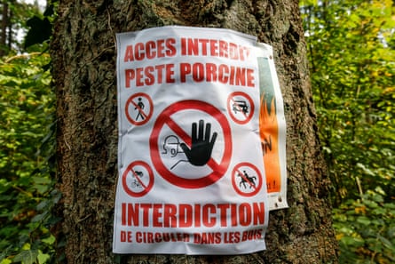 A placard reading ‘Access not allowed, African swine fever’ is fixed next to a path in a wood near Tintigny, southern Belgium, 21 September 2018.