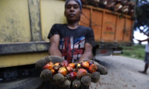 Indonesian palm oil farmer