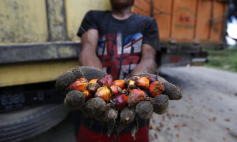 A man holds palm oil kernels