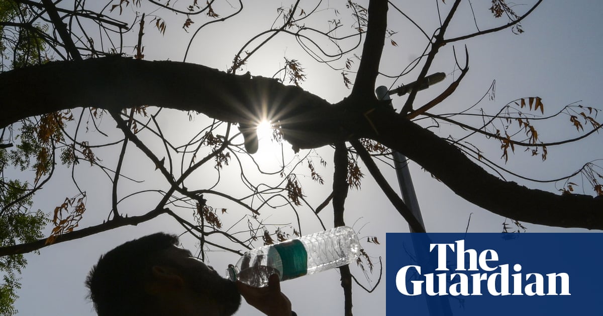 Trump's anti-climate agenda could result in 1.3m more deaths globally, analysis finds