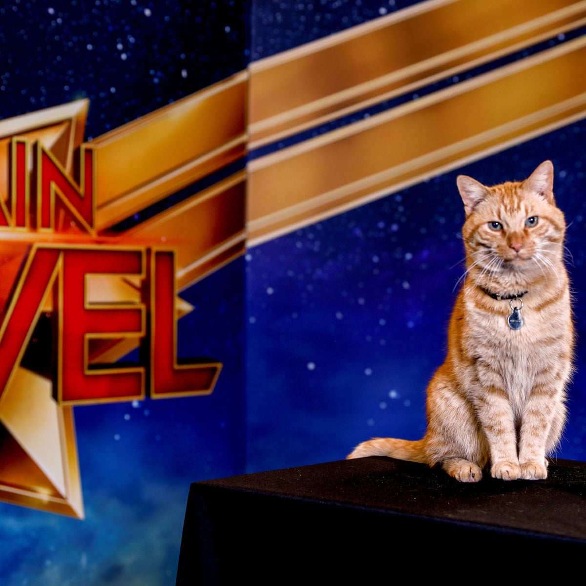 Purr Evil Cats With Hidden Agendas Ranked Film The Guardian