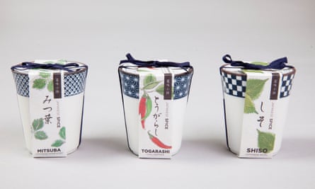 Yakumi Japanese spice pots £13,