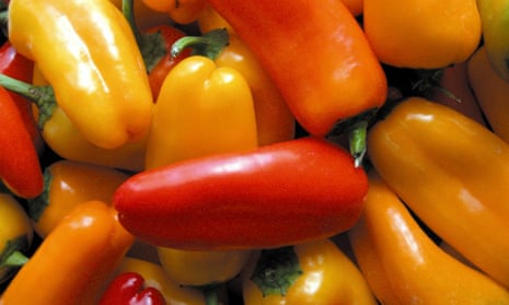 Chilli peppers were among the most popular spicy plants recorded in research on the diets of 500,000 people in China.
