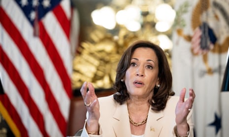 Kamala Harris in Washington on Wednesday. On Friday she said: ‘They insult us in an attempt to gaslight us, and we will not have it. We will not let it happen.’
