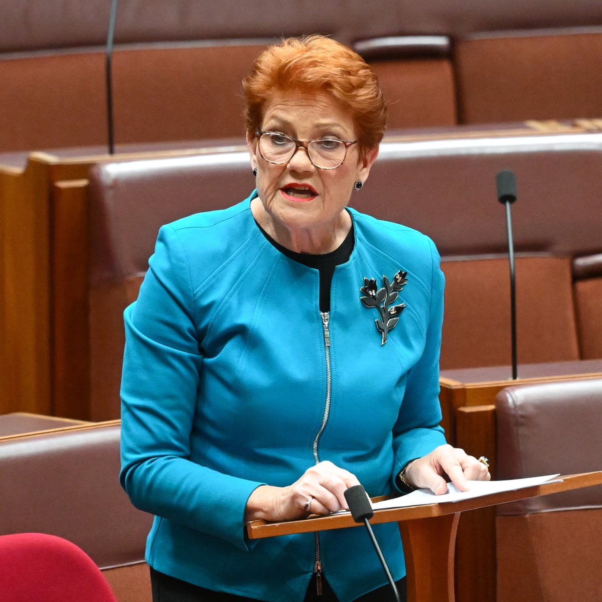 One Nation reveals gas policy – as it happened | Australia ...