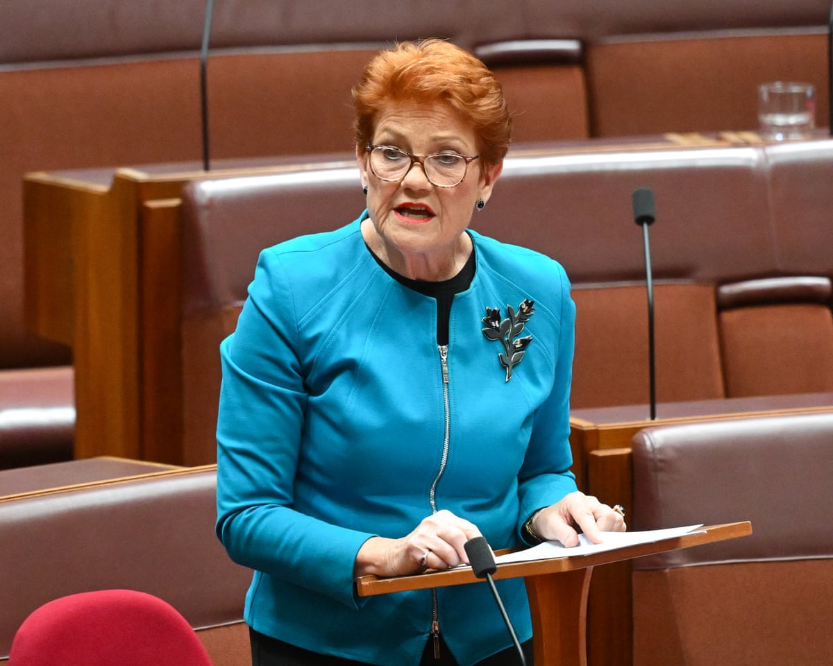 One Nation reveals gas policy – as it happened | Australia ...