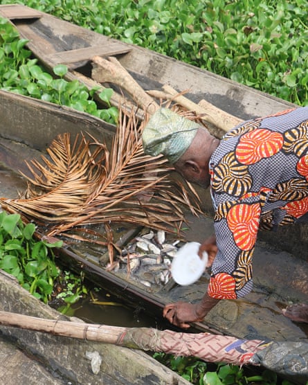 ‘The water is no longer our friend’: how dredging is pushing Lagos Lagoon towards ecosystem collapse – photo essay A man empties a small bowl of fish into a section of a wooden boat.