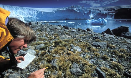 A researcher near Palmer Station, Antarctica, in 2004